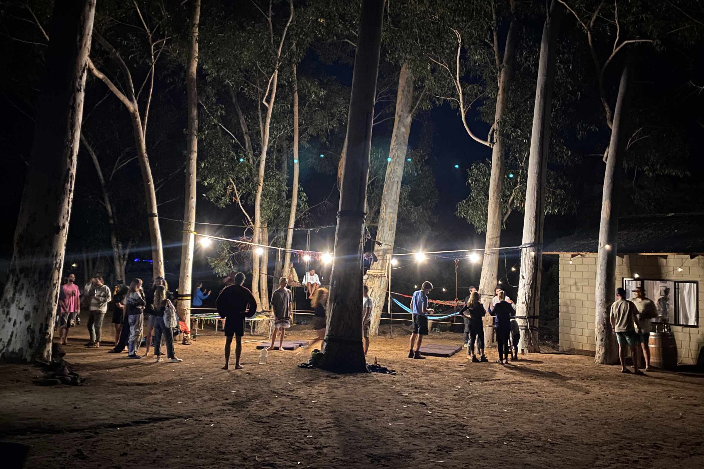 Tree nets and slacklines at De Pakhuys